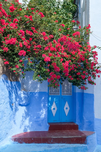 Day trip to Chefchaouen, the blue city of Morocco