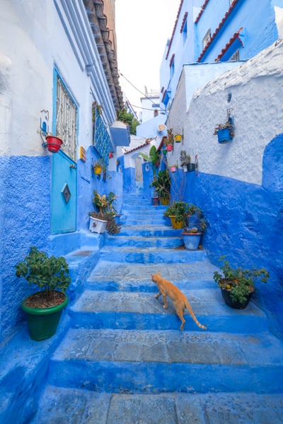Day trip to Chefchaouen, the blue city of Morocco