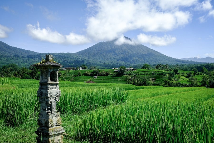 Bali island in Indonesia Jatiluwih