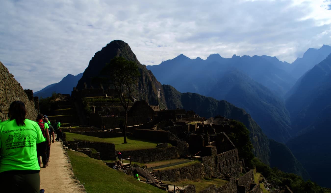 Hikers on an alpaca tour in green shirts at Machu Picchu in Peru