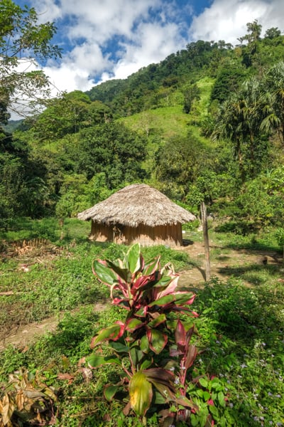 Thatch hut at Mutanyi traditional village