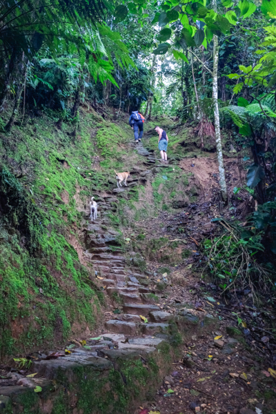 Walking long distances in sharp stone steps
