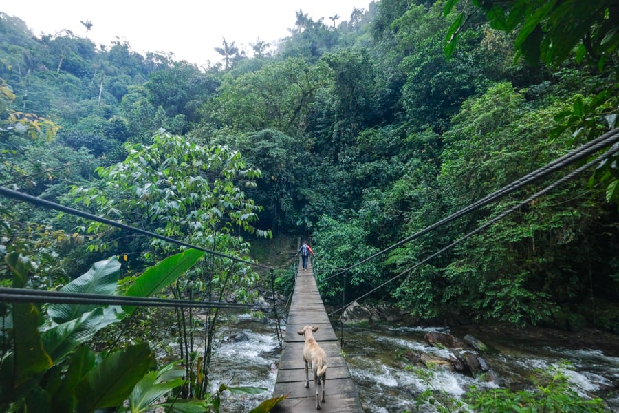 Cross a bridge over the river