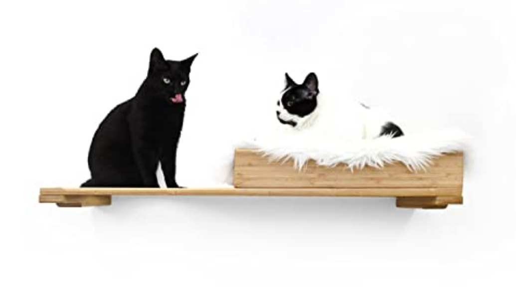 Image for the large product module