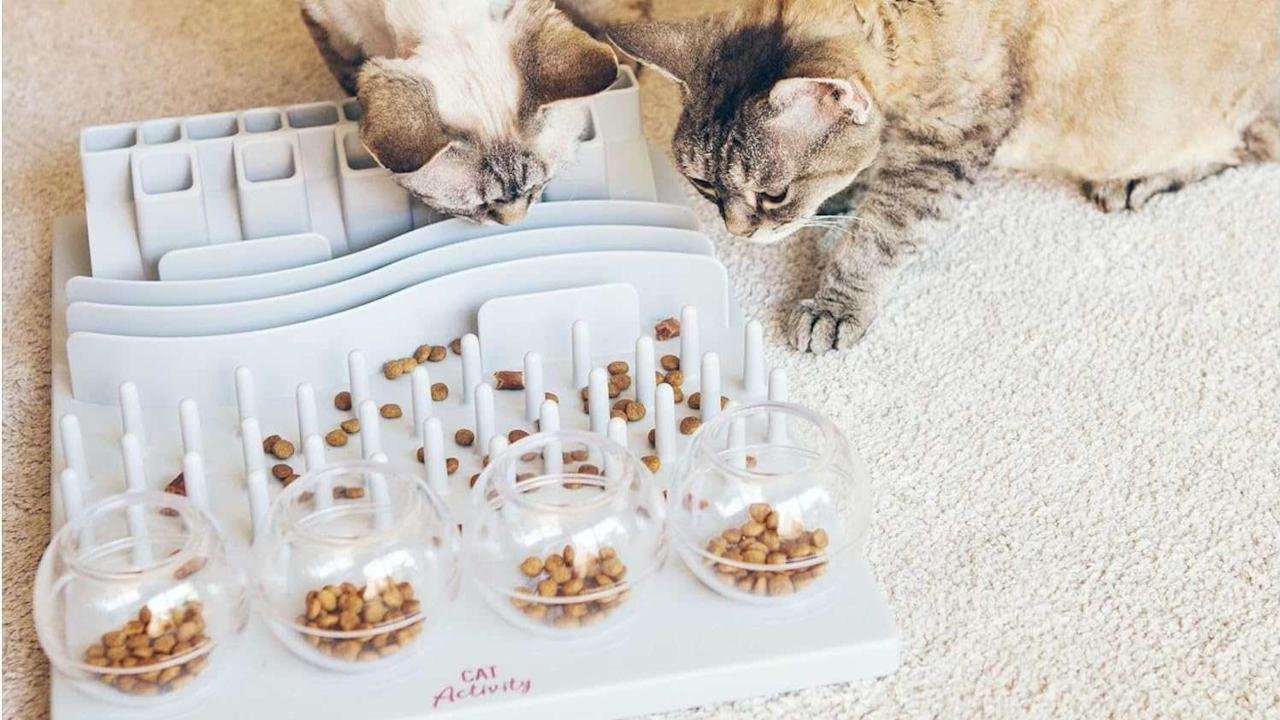 Image for the large product module