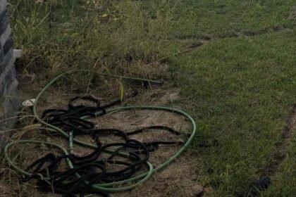 'This is a literal crime'