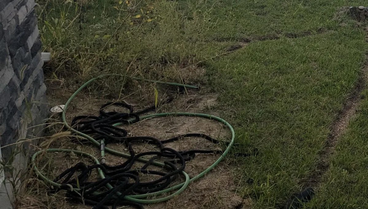 'This is a literal crime'