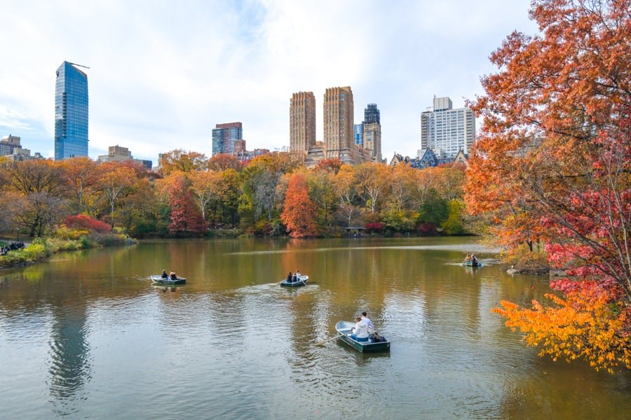 Paddleboats on the lake at Central Park with buildings in the background