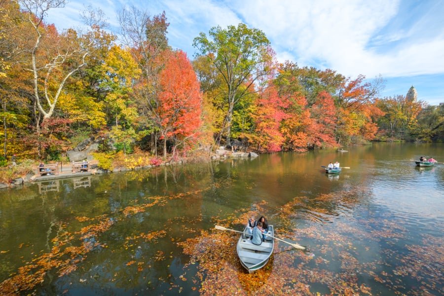 Fall leaf colors and paddleboats on the lake at Central Park