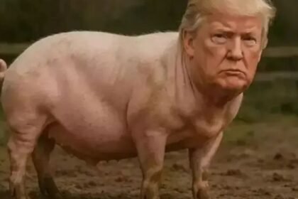 Further | Quiet, Piggy | Opinion