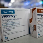 Wegovy pill