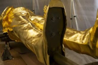 Further | Fuck This Guy: The Hunted Becomes the Beached