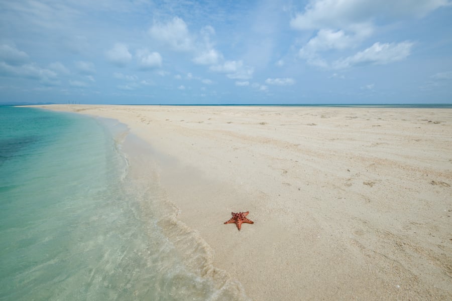 Starfish at the Gusung Asem sandbar in Bangka