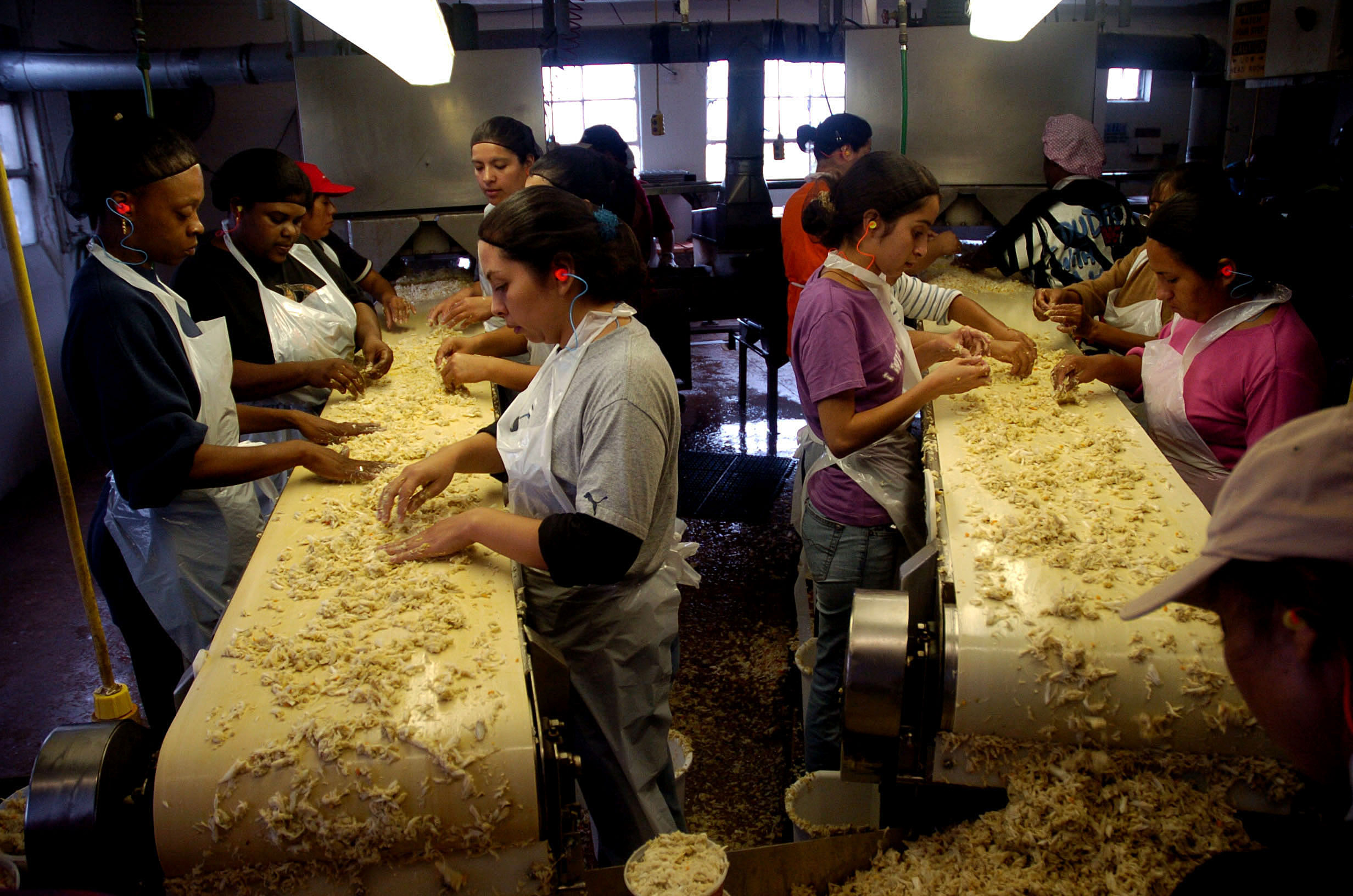 Workers pick out shells from crab meat at J.M. Clayton Company in 2005.