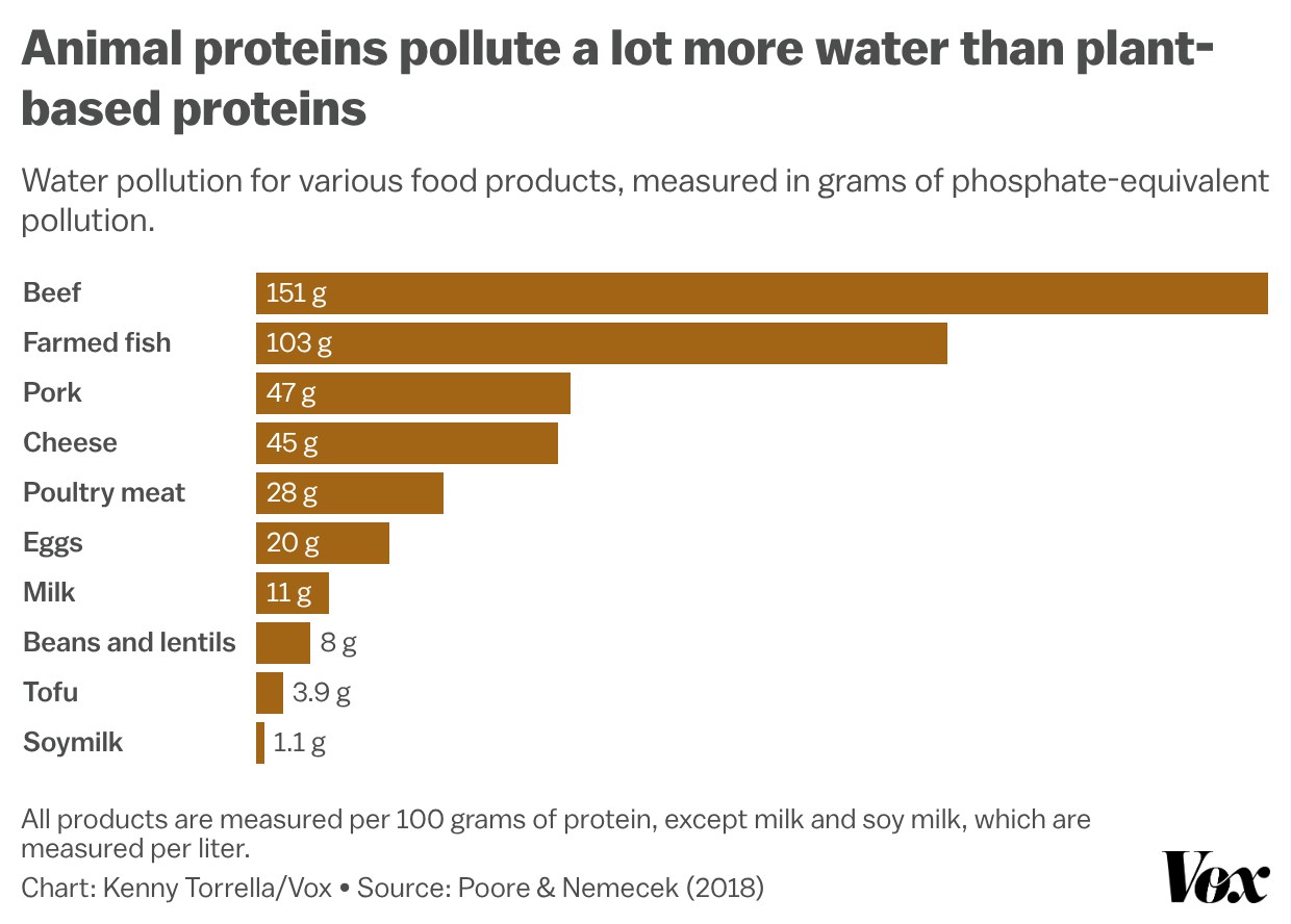 Chart shows animal proteins pollute a lot more water than plant-based ones