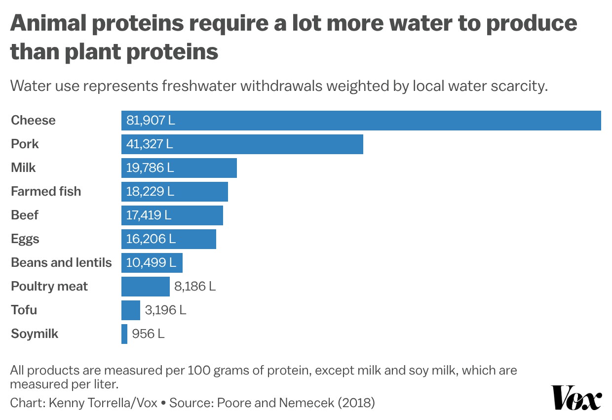 Chart showing animal proteins require a lot more water to produce than plant proteins