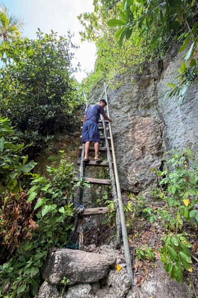 Climbing a wooden ladder